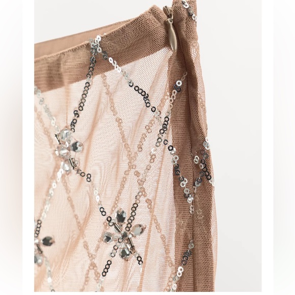 Zara embroidered beaded midi skirt - Picture 5 of 6